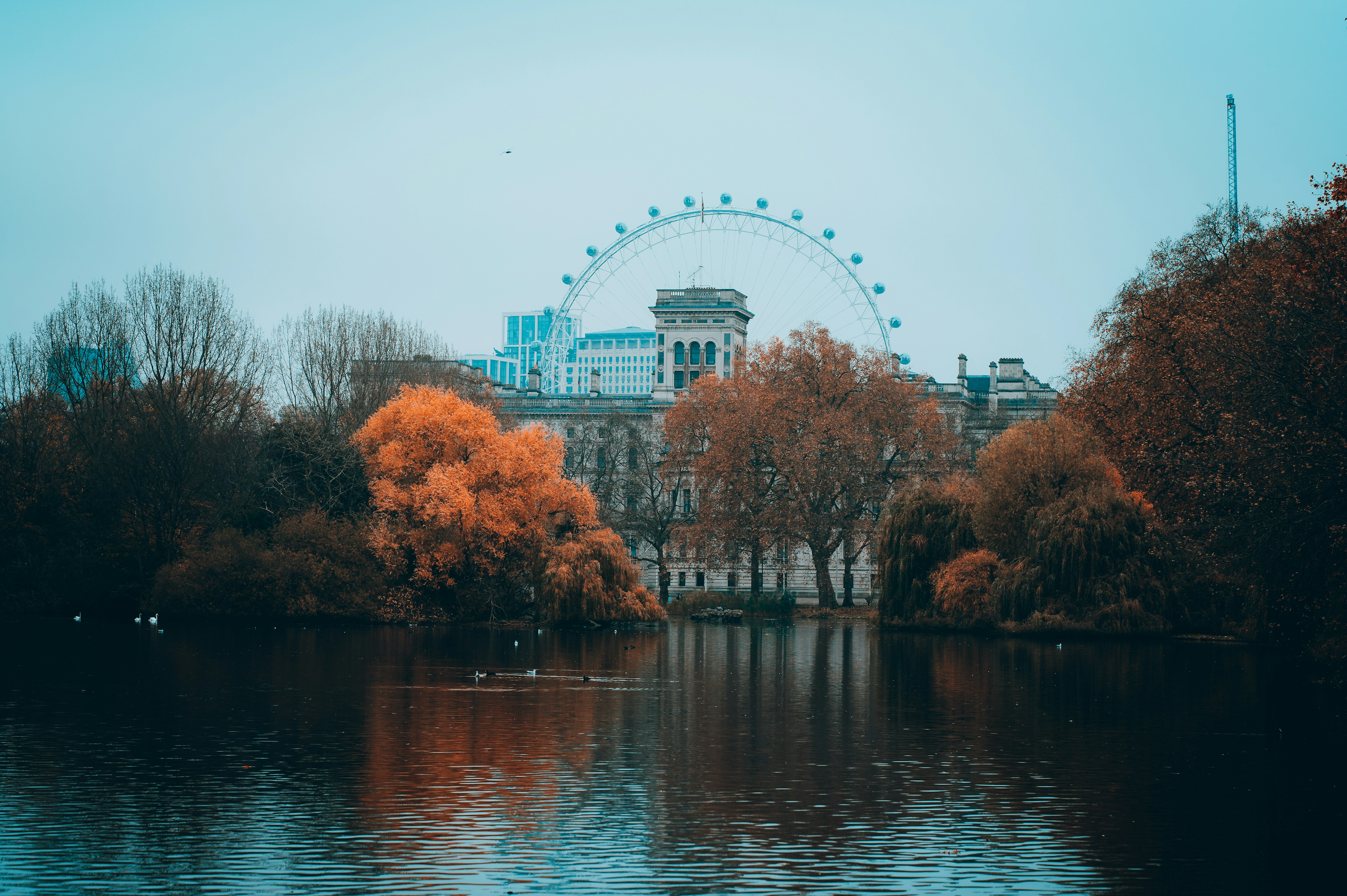 🍁 Golden Leaves & Autumnal Walks: A Wholesome Autumn Trip to Notting Hill & West London 🎃