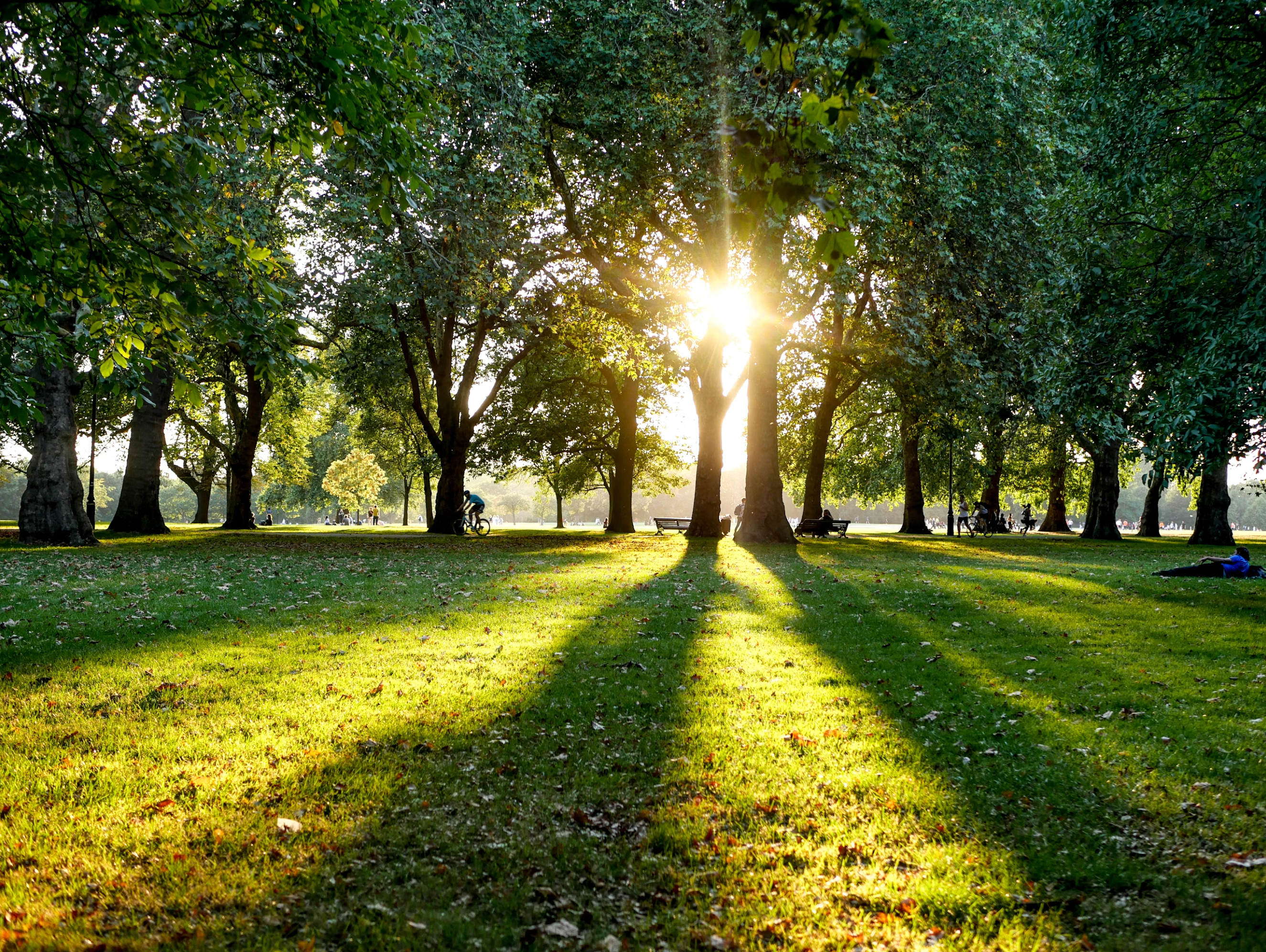 Hyde Park & Kensington Gardens: The Green Heart of West London