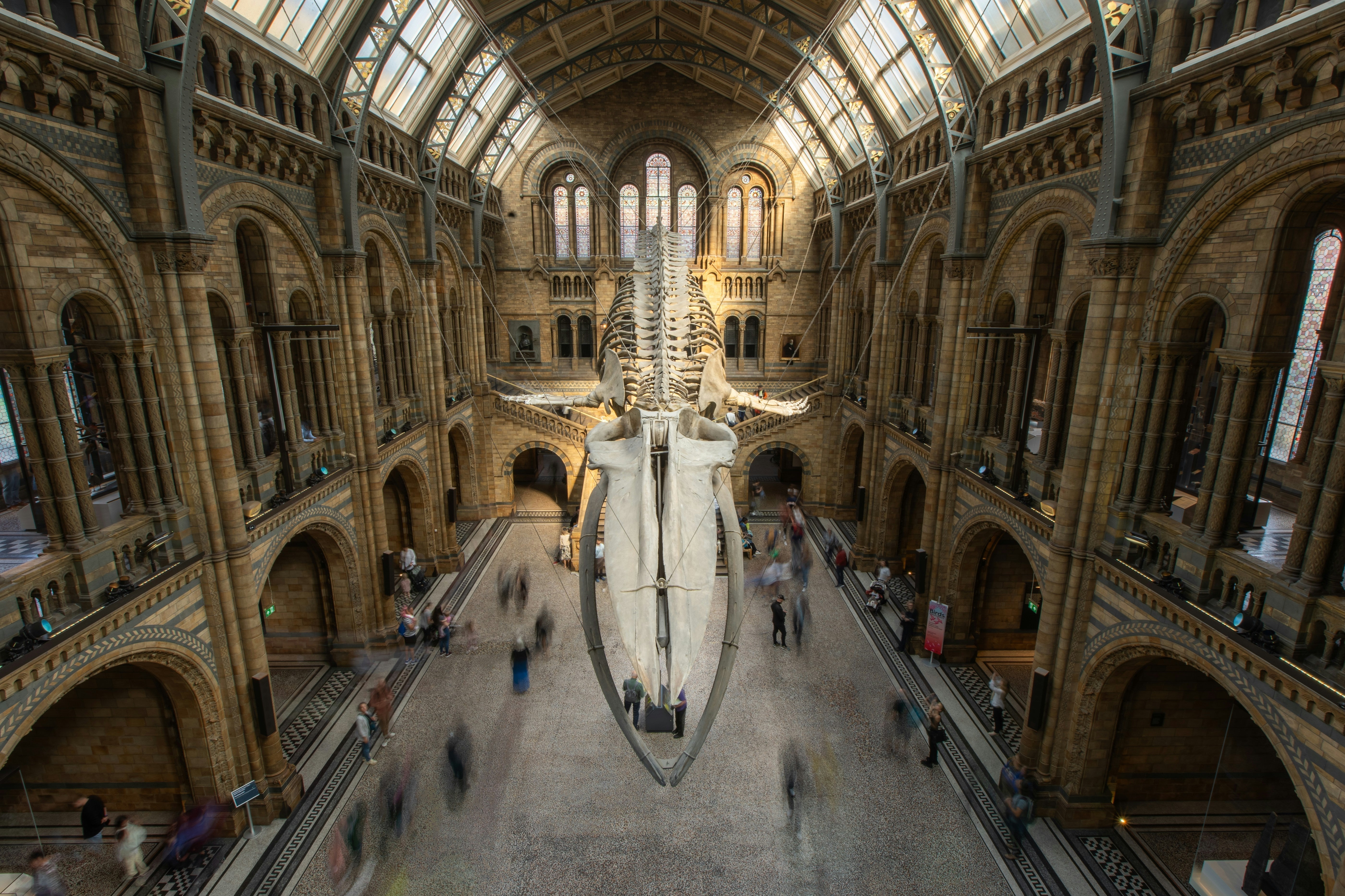 Top 10 Family-Friendly Activities near Notting Hill & Kensington