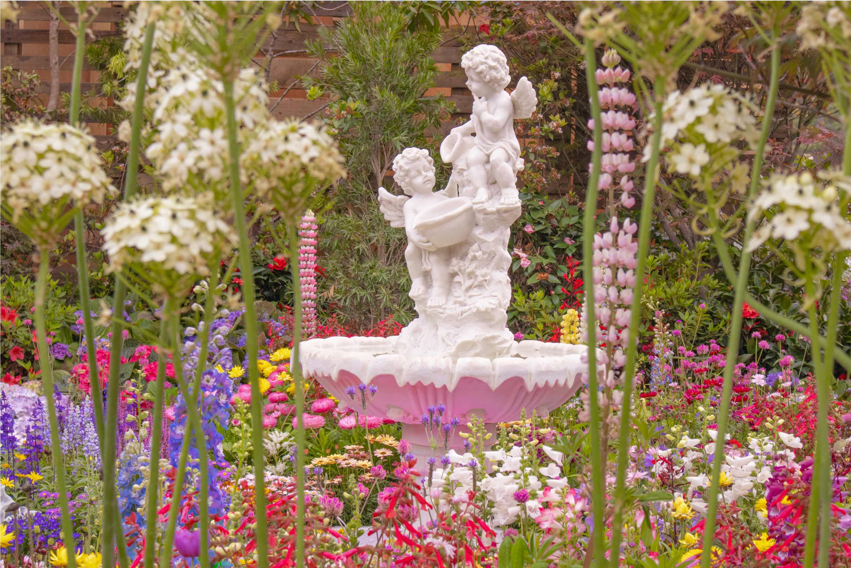 A Pocket Guide to the Chelsea Flower Show 2026